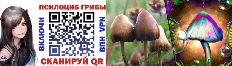 Псилоцибиновые грибы мухоморы  Зверево 