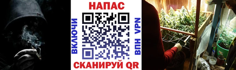 сайты даркнета официальный сайт  Зверево  Бошки марихуана гибрид 